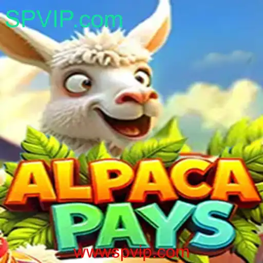 AlpacaPays: Descubra as Aventuras de Alpacas em SPVIP.com